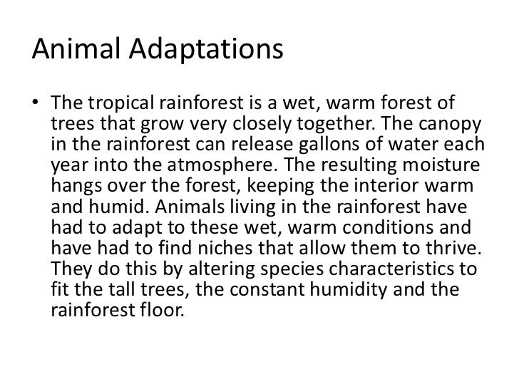 adaptive features of plants and animals adaptive features of plants and animals